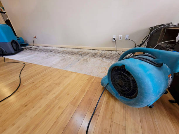 Professional Water Extraction technician working in Leeds, ME